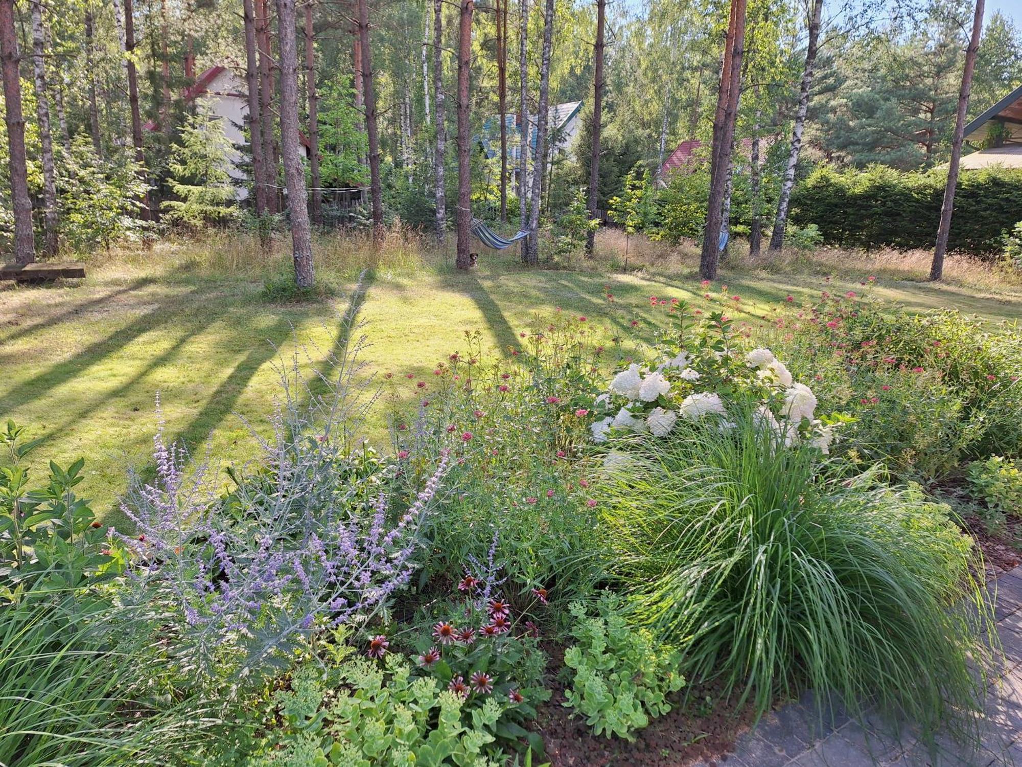 Apartamenty Jezioro I Las Mazury Powalczyn Exterior foto