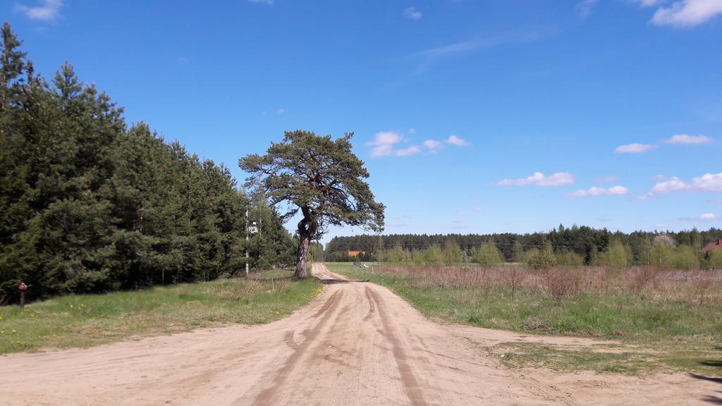 Apartamenty Jezioro I Las Mazury Powalczyn Exterior foto